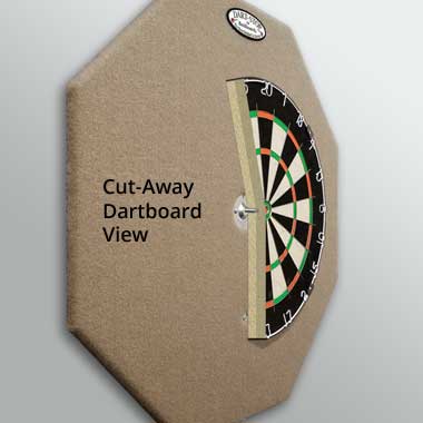 Cut-Away Dartboard View